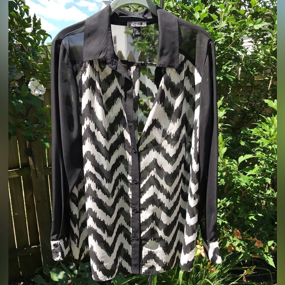 Black and White Sheer Blouse